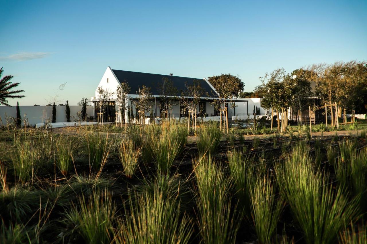 Vergenoegd Loew Boutique Hotel & Spa Cape Town Exterior photo